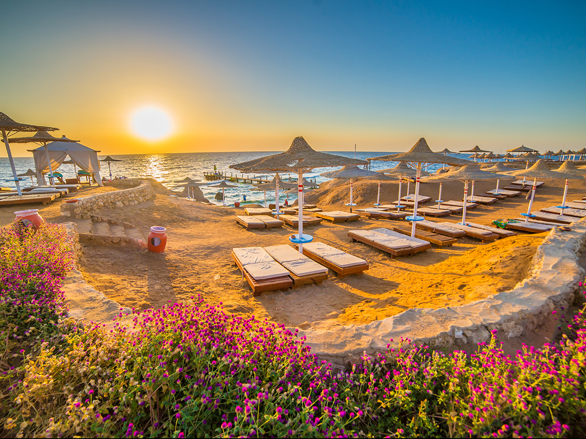 PRESTİJ SHARM EL SHEİK TURU THY İLE