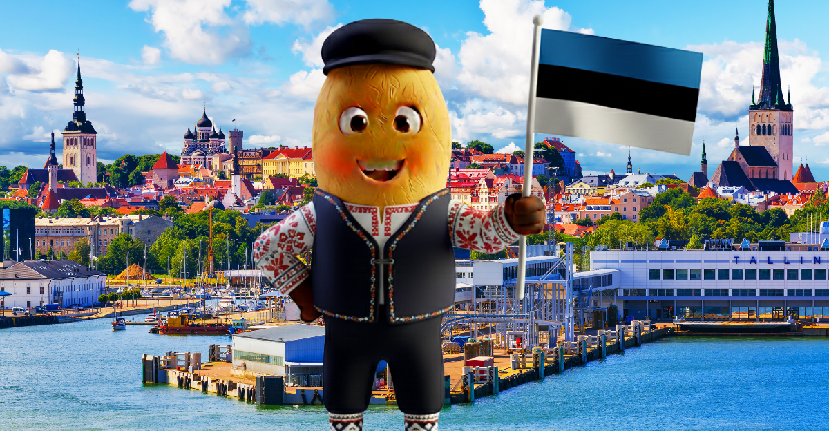 ESTONYA - TURİSTİK